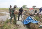 Air Bersih untuk Godo: TMMD Pati Wujudkan Mimpi Warga dan Petani