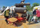 TNI TMMD Ringankan Beban Petani Jagung di Pati
