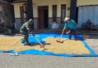 Sertu Arifin Berbaur dengan Petani, Satgas TMMD Kodim Pati Panen Kebersamaan