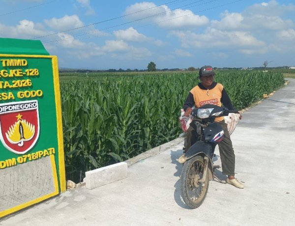 Jalan TMMD Kodim Pati Permudah Petani, Mbah Sukardi Kini Lebih Mudah Angkut Hasil Panen